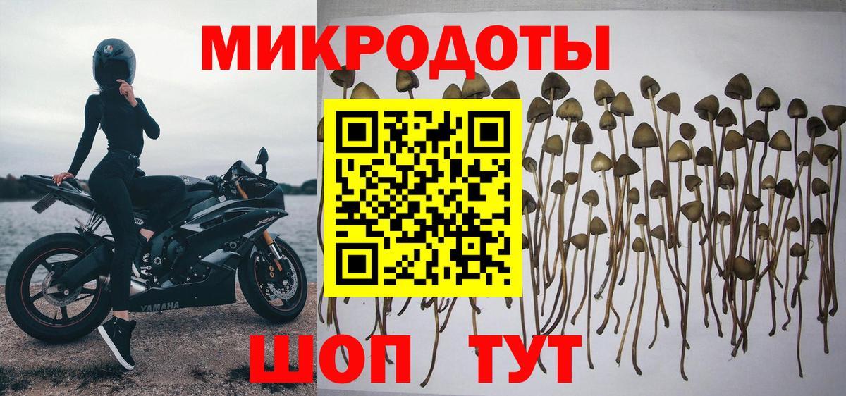 Галлюциногенные грибы Magic Shrooms Нарткала